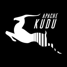 Apache Kudu